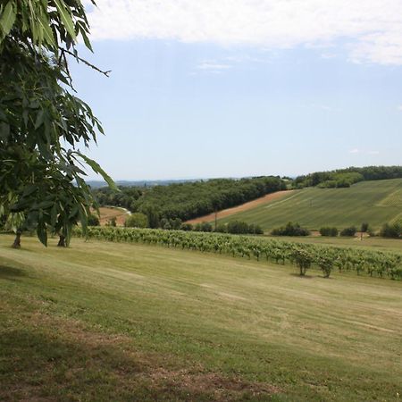 Domaine De Perches Gaillac Exterior foto