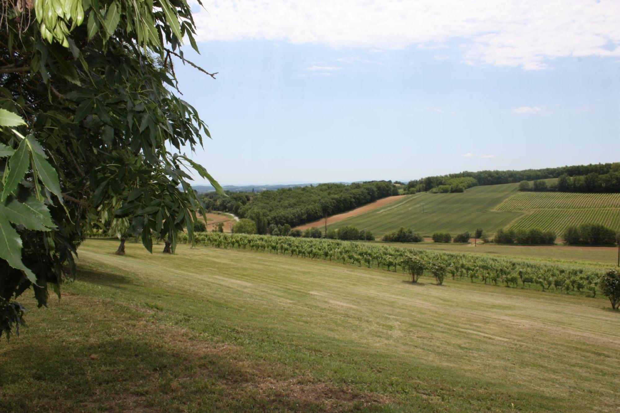 Domaine De Perches Gaillac Exterior foto